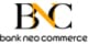 BSI Net partner logo